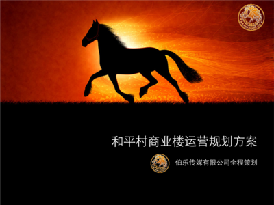 和平村商业楼运营规划方案.ppt